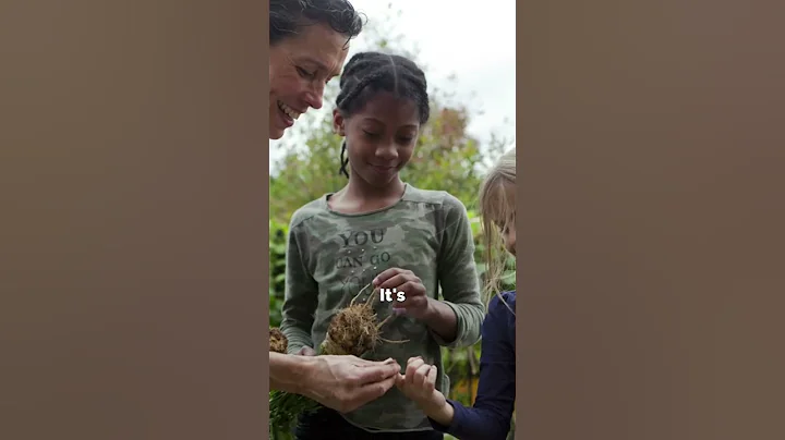 USDA's Food and Nutrition Service Celebrates Farm to School Month