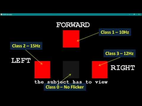 Brain Computer Interfaces - SSVEP (PESIT South Campus)