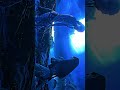 Avatar #120fps #avatar #video #edit #best