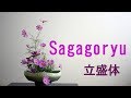 【生け花】コスモスだけで立盛体【ikebana】嵯峨御流の基本！秋編