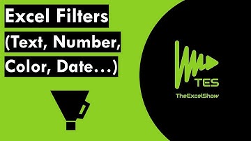 Basics: Excel Filters (Text, Number, Color, Date)