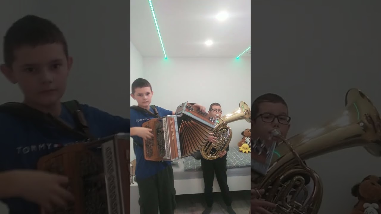 Gorenjska polka z bratom Anejem - ( Avsenik )