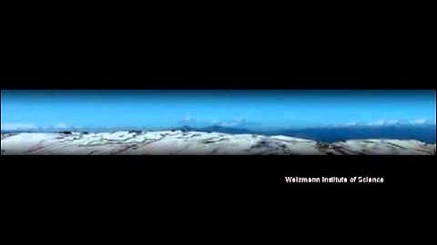 Why Israel? Why Weizmann?