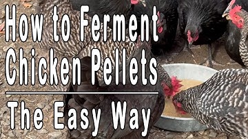 How to Ferment Chicken Pellets The Easy Way for Healthier Birds, Better Eggs & Cost Saving