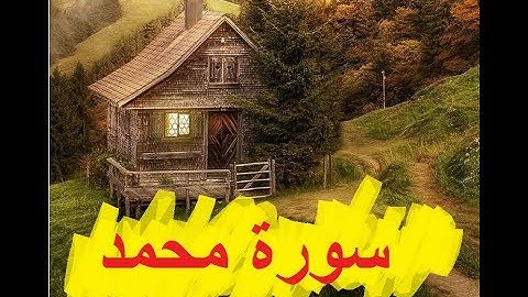 سعد الغامدي تلاوة ولا أروووع سورة محمد