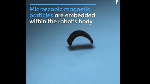 They are here... the tiny internal body robots called millirobot.