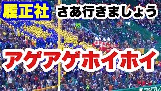 履正社 さあ行きましょう アゲアゲホイホイ 19センバツ1回戦 応援歌 阪神甲子園球場 Youtube