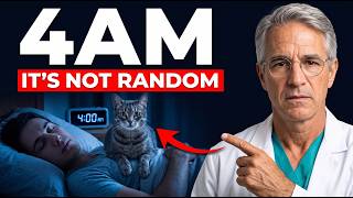 Vet Explains Why Your Cat Sits On You, Stares, and Wakes You at 4AM
