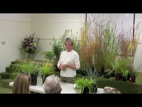 Video: Plants For Prairie Gardens - Odling and Care For Prairie Gardens