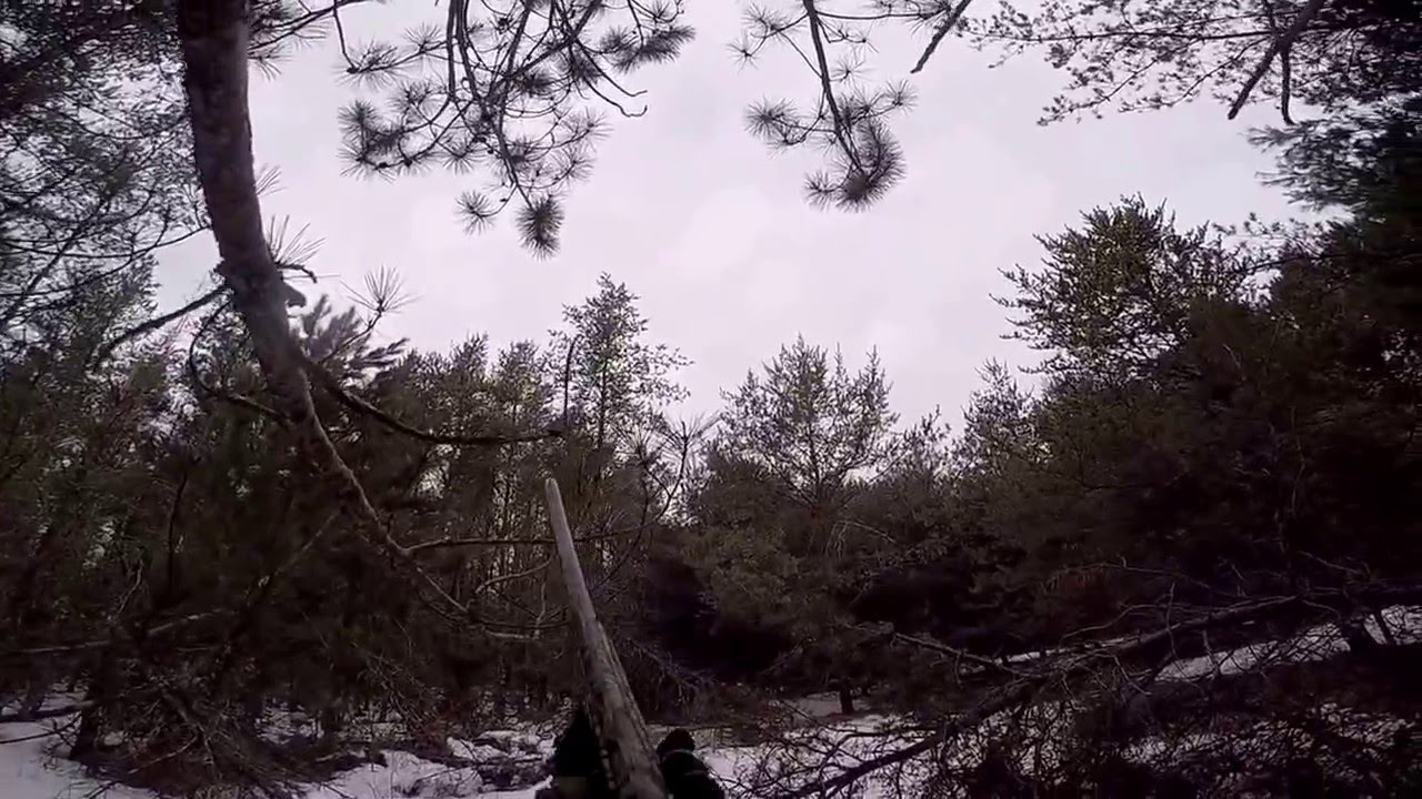 Wisconsin crow hunt 2016 YouTube