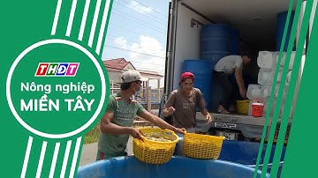 Thúc đẩy xuất khẩu nông, lâm, thủy sản Việt Nam sang thị trường EU | Nông nghiệp Miền Tây