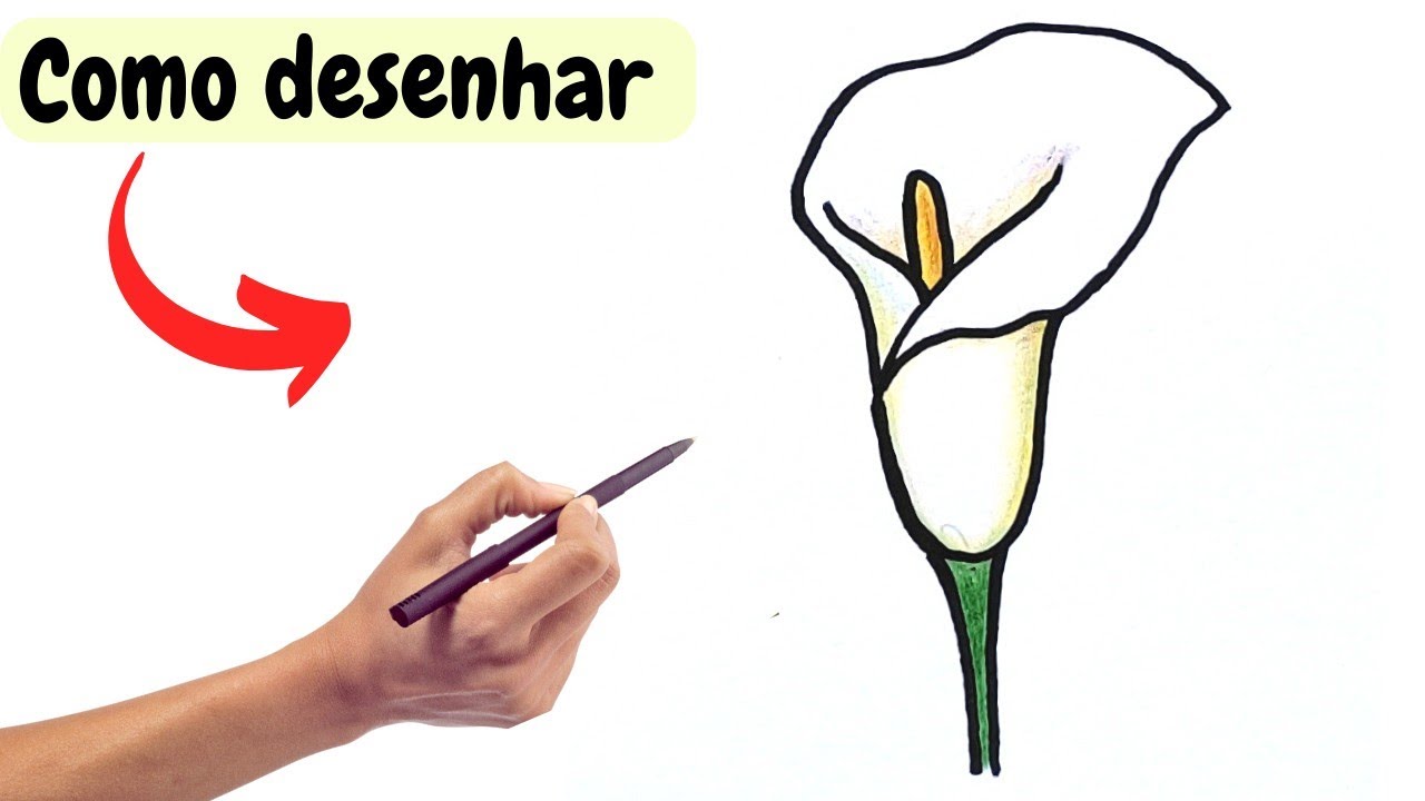 Como Desenhar Um Copo De Leite Flores Copo De Leite