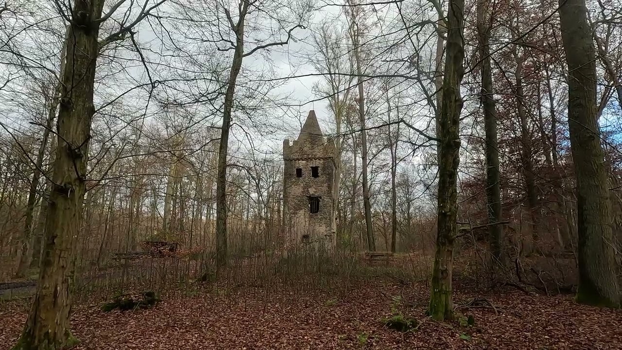 ℍ𝕒𝕟𝕒𝕦 - 𝕎𝕠𝕝𝕗𝕘𝕒𝕟𝕘  (4k)