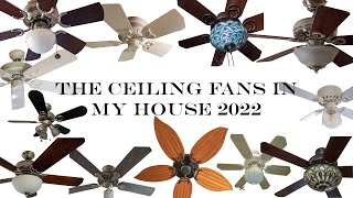 THE CEILING FANS IN MY HOUSE 2022 | #ncfd