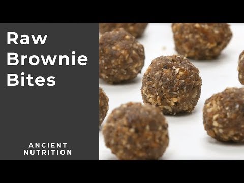 Raw Brownie Bites | Ancient Nutrition