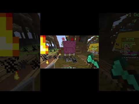 Ip is in Description