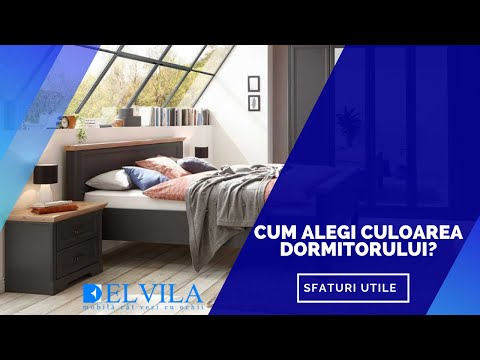 Video: Cum Să Alegi Un Hobby: Sfaturi Utile