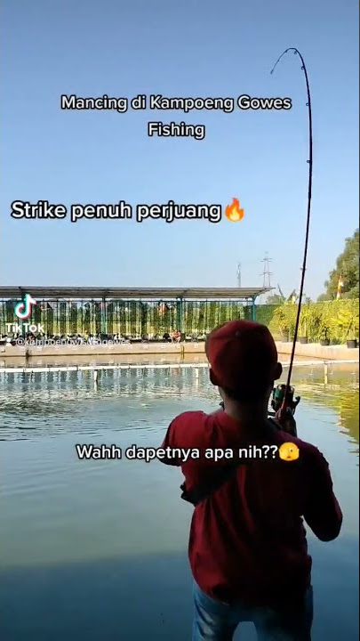 wuihh strike apa nih guys? seru bgtt!!😱🫣 #kgf #empang #mancing