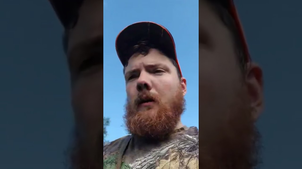 Scouting Update, Buck are Dropping Velvet!