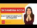 Как подготовиться и сдать экзамены ACCA