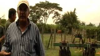 Charla Trapiche VC (parte 1)