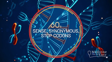 Genetics in 60 seconds: Sense, Synonymous, Stop Codons