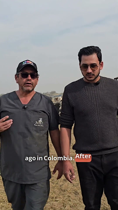 Expert insights on cattle farming with Dr. Ruben Mendoza 🐄#bakraeid2026 #brahman #jntv #foryou