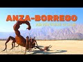 Ultimate Guide to Anza Borrego Desert State Park