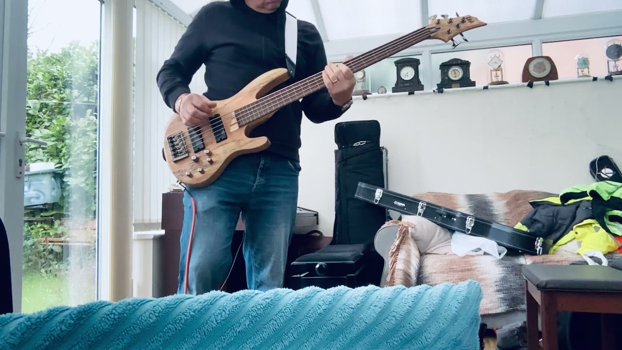 ESP LTD B205SM FL Natural Satin Fretless Bass Guitar - 5-string, slap 