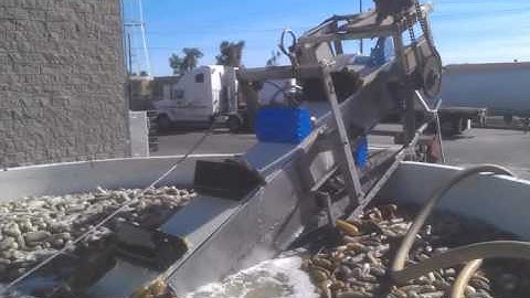 Gherkin processing machinery by Sujay industries peenya Bengaluru