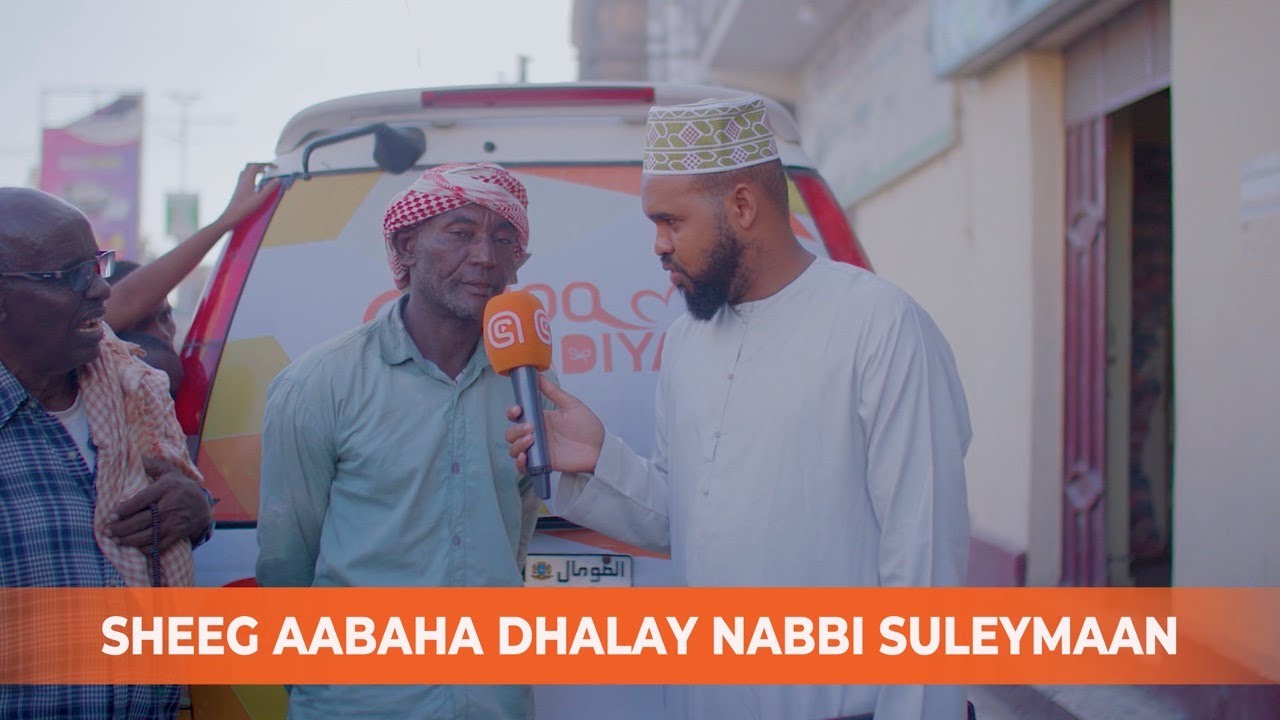 Boshpanasiz ayol o‘rmonda shox so‘radi