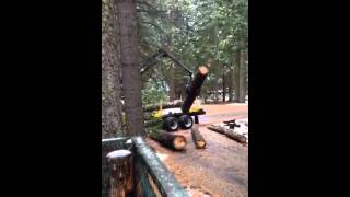 Loading sugar pine logs