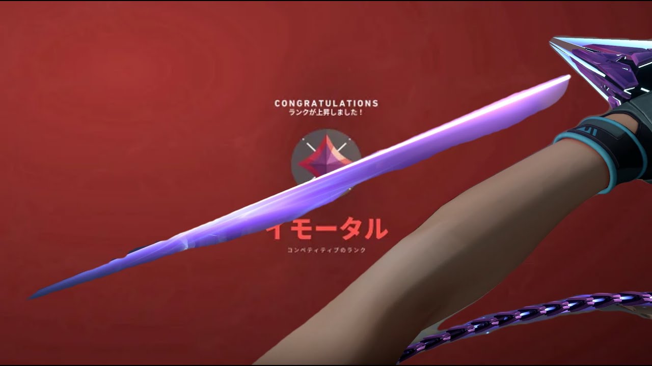 ZenDROvl Hightlights