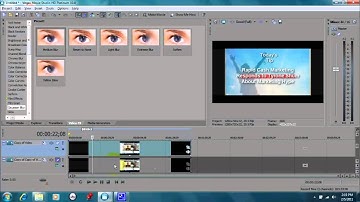 Sony Vegas Movie Studio 10:  How to Blur Faces and other Elements