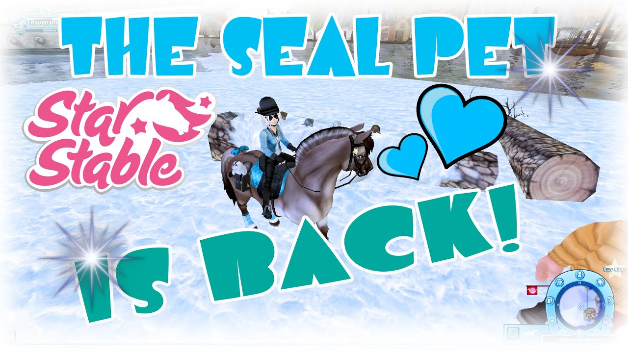 The Seal Pet is BACK and NEW STORE Star Stable Aug 2015 - YouTube