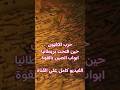 الشاي والفضة مقابل الأفيون  حرب  الصين بريطانيا تشينغ قصص واقعية  تاريخ  معلومةعن ص ص نجومي