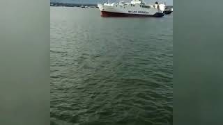 Km. Swarna bahtera dan km. Mahkota nusantara