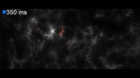 Imaging Neuronal Activity video  EurekAlert! Science News