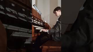 St. Louis Blues - Griffin Davis at the organ