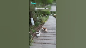 Altseason 2021 vs. Altseason 2025