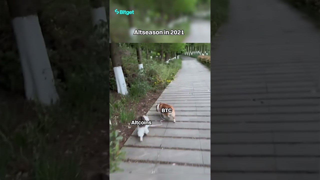 Altseason 2021 vs. Altseason 2025