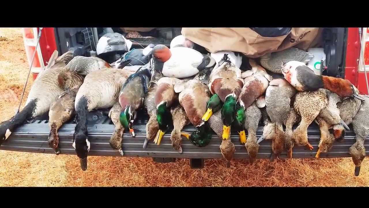 12.14.2013Oklahoma Duck Hunt In Carney YouTube