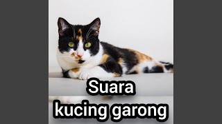 Suara Kucing Garong (Remastered 2023)