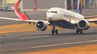 Birdstrike Ryanair Boeing 737 Max 8 200 At Madeira Airport