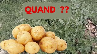 Quand  PLANTER ses POMMES de TERRE ?