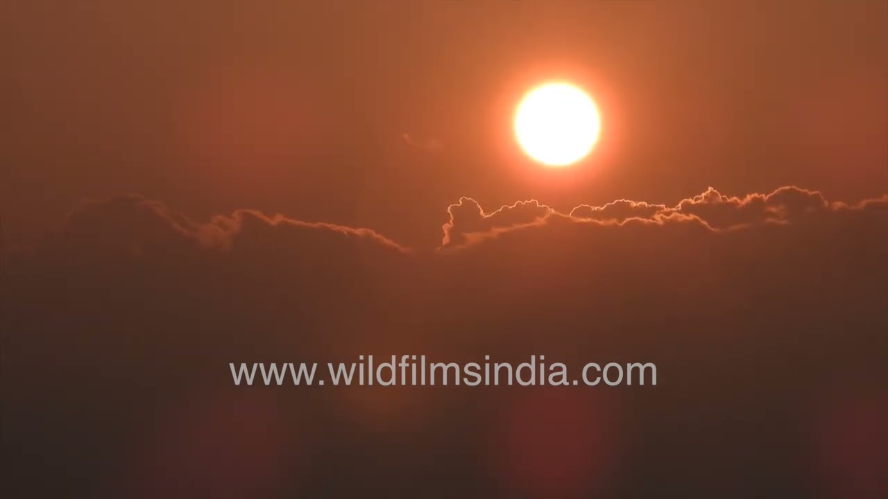 Golden Sunlight Breaking Through Clouds