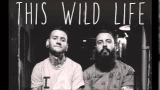 This Wild Life - If It Means A Lot To You (A Day To Remember cover)
