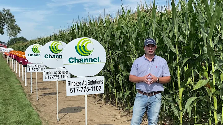 Rincker Ag Solutions