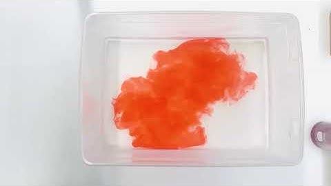 Diffusion of Food Dye 2