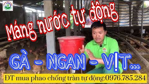 Phao chống tràn cho máng nước tự động trong chăn nuôi gà, ngan, vịt...